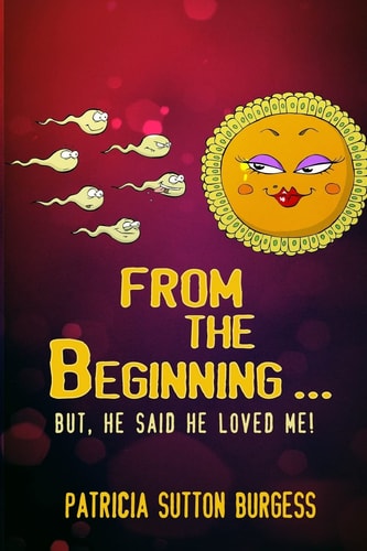 From the Beginning A Story of Teenage Sex