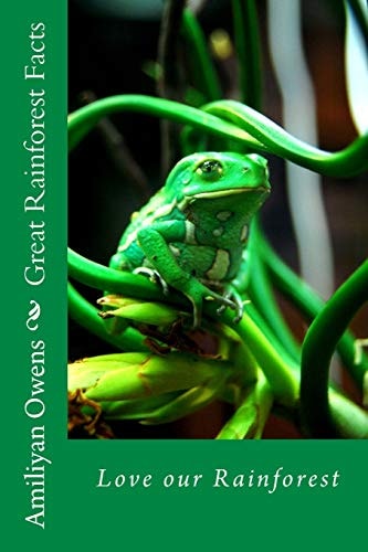 Great Rainforest Facts Love Our Rainforest