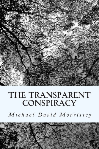 Transparent Conspiracy Essays and Poems (mostly) on 9/11