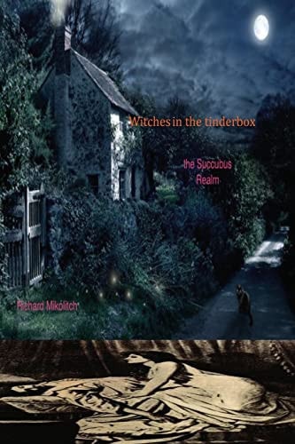 Witches in the Tinderbox The Succubus Realm