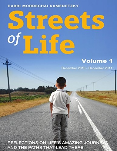 Streets of Life Collection Vol. 1 2011 Reflections on Life's Amazing Journeys and the Paths That Lead There