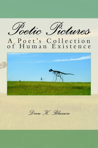 Poetic Pictures A Poet's Collection of Human Existence