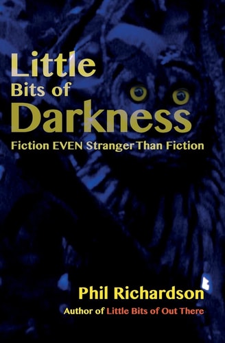 Little Bits of Darkness Fiction Stranger Than Fiction