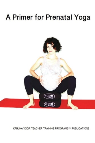 A Primer for Prenatal Yoga Adaptations and Modifications for Teaching Yoga to Pregnant Students