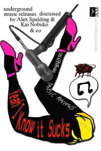 Yeah I Know It Sucks Underground Music Reviews Vol. 1