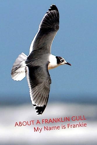 About a Franklin Gull My Name Is Frankie