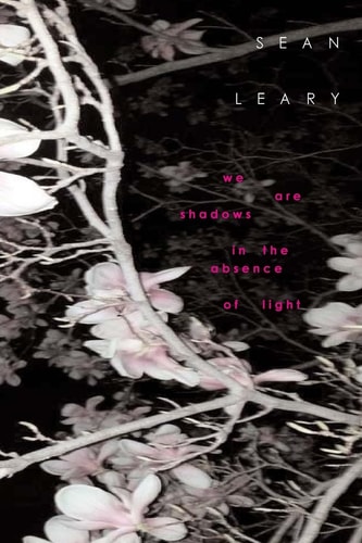 We Are Shadows In The Absence of Light