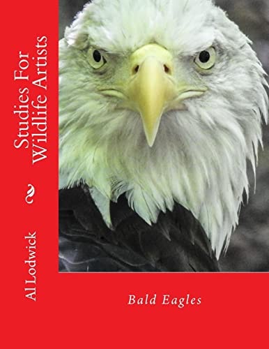 Bald Eagles Studies For Wildlife Artists