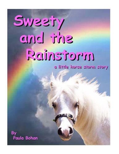 Sweety and the Rainstorm A Little Horse Storm Story