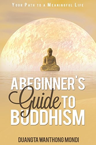 A Beginner's Guide to Buddhism Your Path to a Meaningful Life