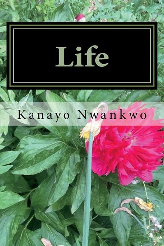 Life Excerpts from ?Provoking God?, ?The Good Evil? and ?Half Love?.