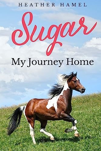 Sugar My Journey to Life