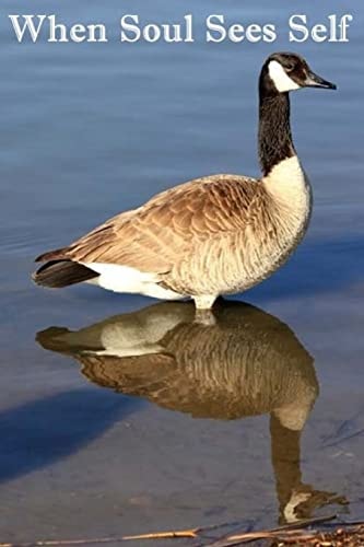 When Soul Sees Self Our Resting Place