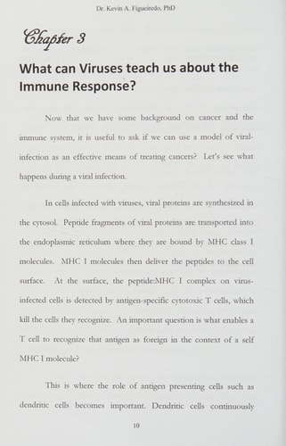 Terminate Cancer A Model of Viral Infection and Immune Response As a Potential Means to Treat Cancer