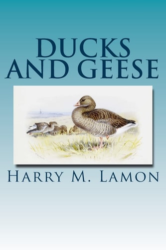 Ducks and Geese