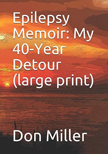 Epilepsy Memoir My 40-Year Detour (Large Print)