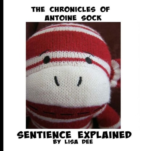 The Chronicles of Antoine Sock Sentience Explained