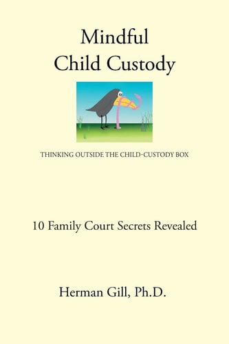 Mindful Child Custody Thinking Outside the Child Custody Box 10 Family Court Secrets Revealed