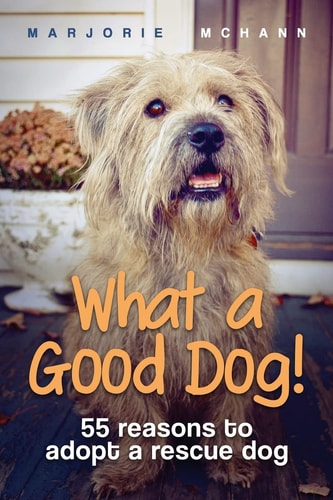 What a Good Dog! 55 Reasons to Adopt a Rescue Dog