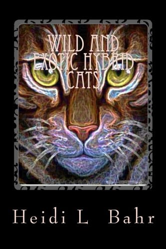 Wild and Exotic Hybrid Cats
