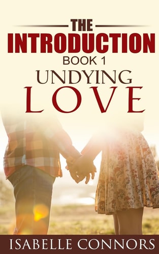 The Introduction (Undying Love#1)