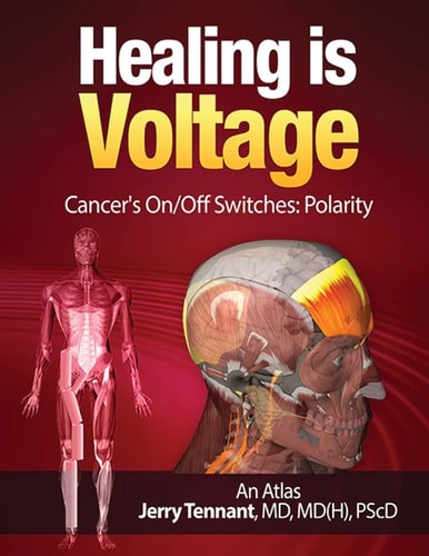 Healing is Voltage Cancer's On/Off Switches: Polarity