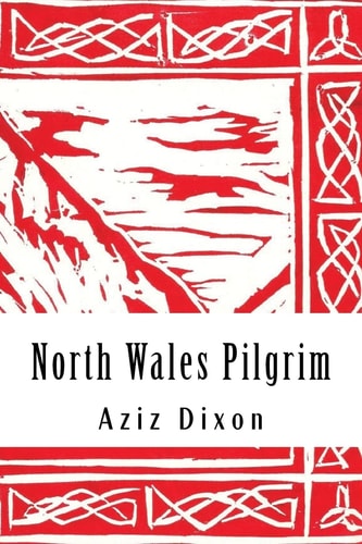 North Wales Pilgrim: a Poetic Journey Reflections on a Pilgrimage from Holywell to Bardsey