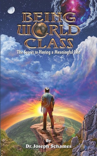 Being World Class The Secret to Having a Meaningful Life
