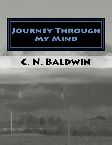 Journey Through My Mind Walking Through a Roller Coaster of Emotions