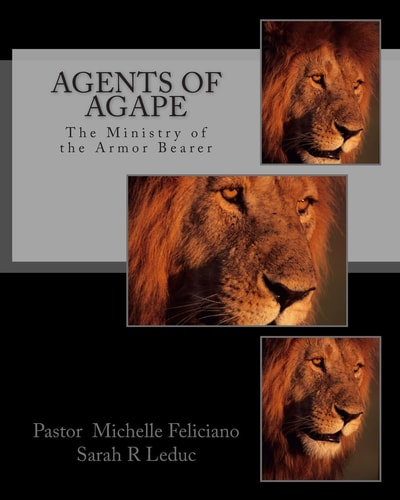 Agents of Agape The Ministry of the Armor Bearer