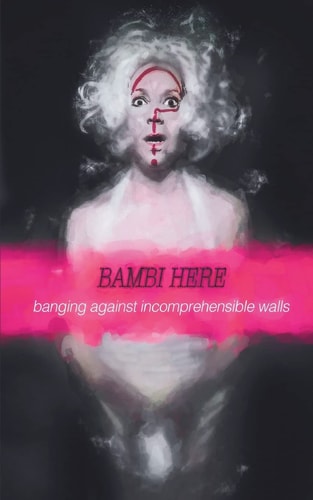 Banging Against Incomprehensible Walls