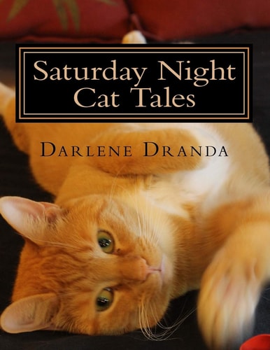 Saturday Night Cat Tales From Rescue to Relationship