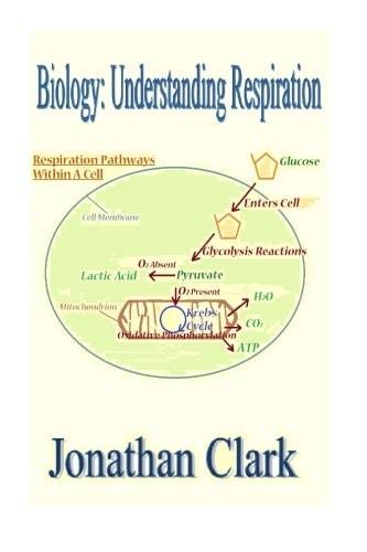 Biology Understanding Respiration