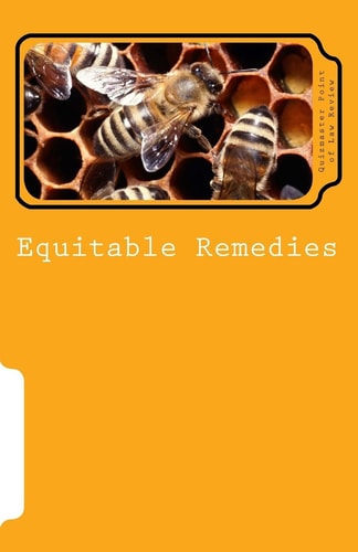 Equitable Remedies Subtitle