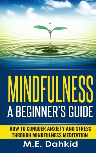 Mindfulness: a Beginner's Guide How to Conquer Anxiety and Stress Through Mindfulness Meditation