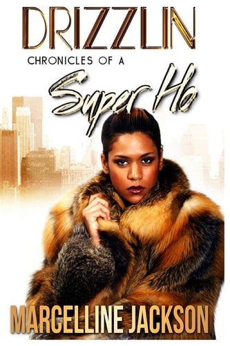 Drizzlin Chronicles of a Super Ho