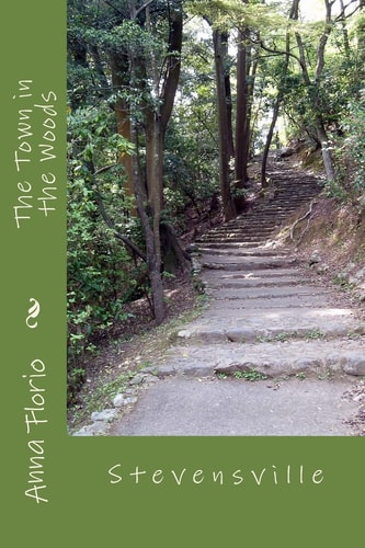 The Town in the Woods Stevensville