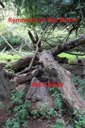 Remnants of the Storm Storms Trilogy Book 3