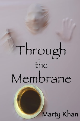 Through the Membrane Three Novellas