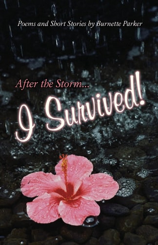 After the Storm... I Survived!