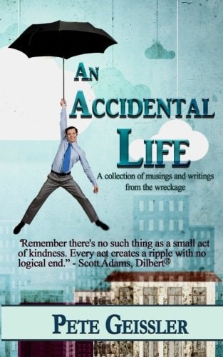 An Accidental Life A Collection of Musings and Writings from the Wreckage
