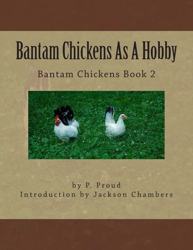 Bantam Chickens As a Hobby