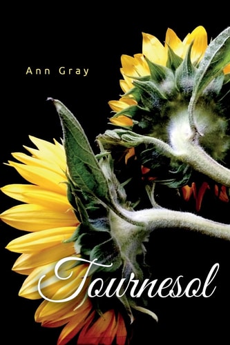 Tournesol