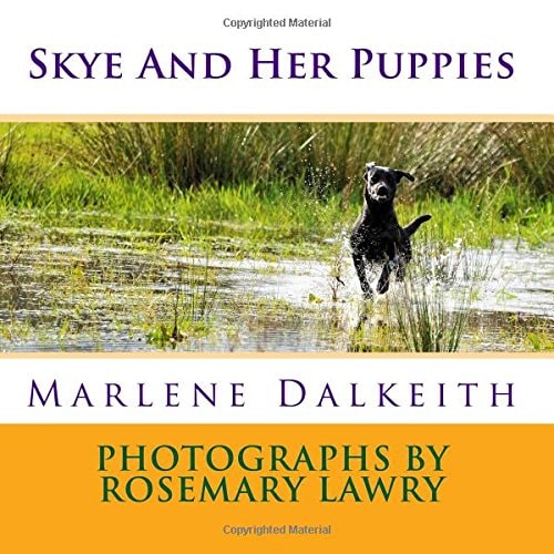 Skye And Her Puppies