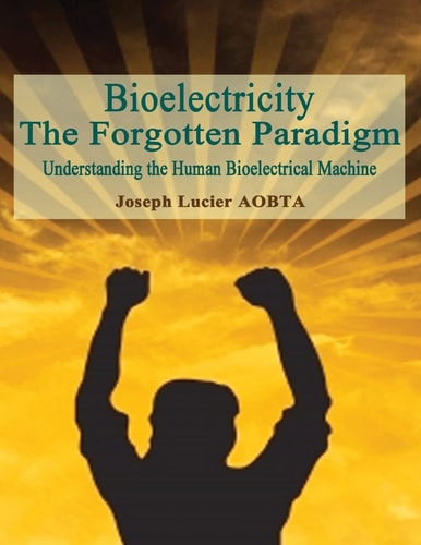 Bioelectricity - The Forgotten Paradigm Understanding the Human Bioelectrical Machine