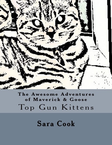 The Awesome Adventures of Maverick and Goose Top Gun Kittens