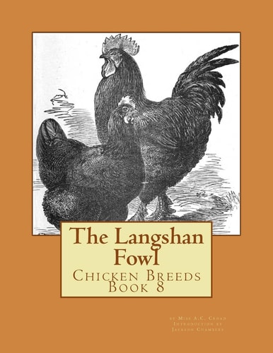 The Langshan Fowl Chicken Breeds Book 8