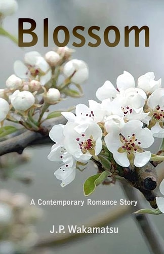 Blossom A Contemporary Romance Story