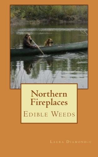 Northern Fireplaces