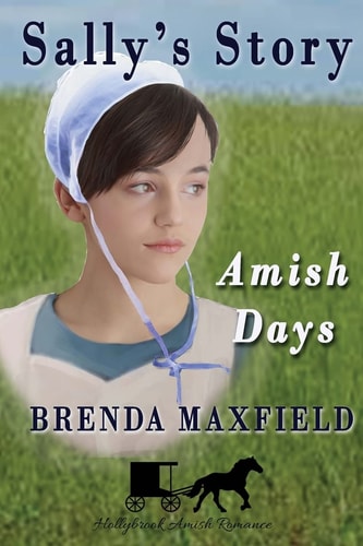 Amish Days: Sally's Story Amish Romance Boxed Set